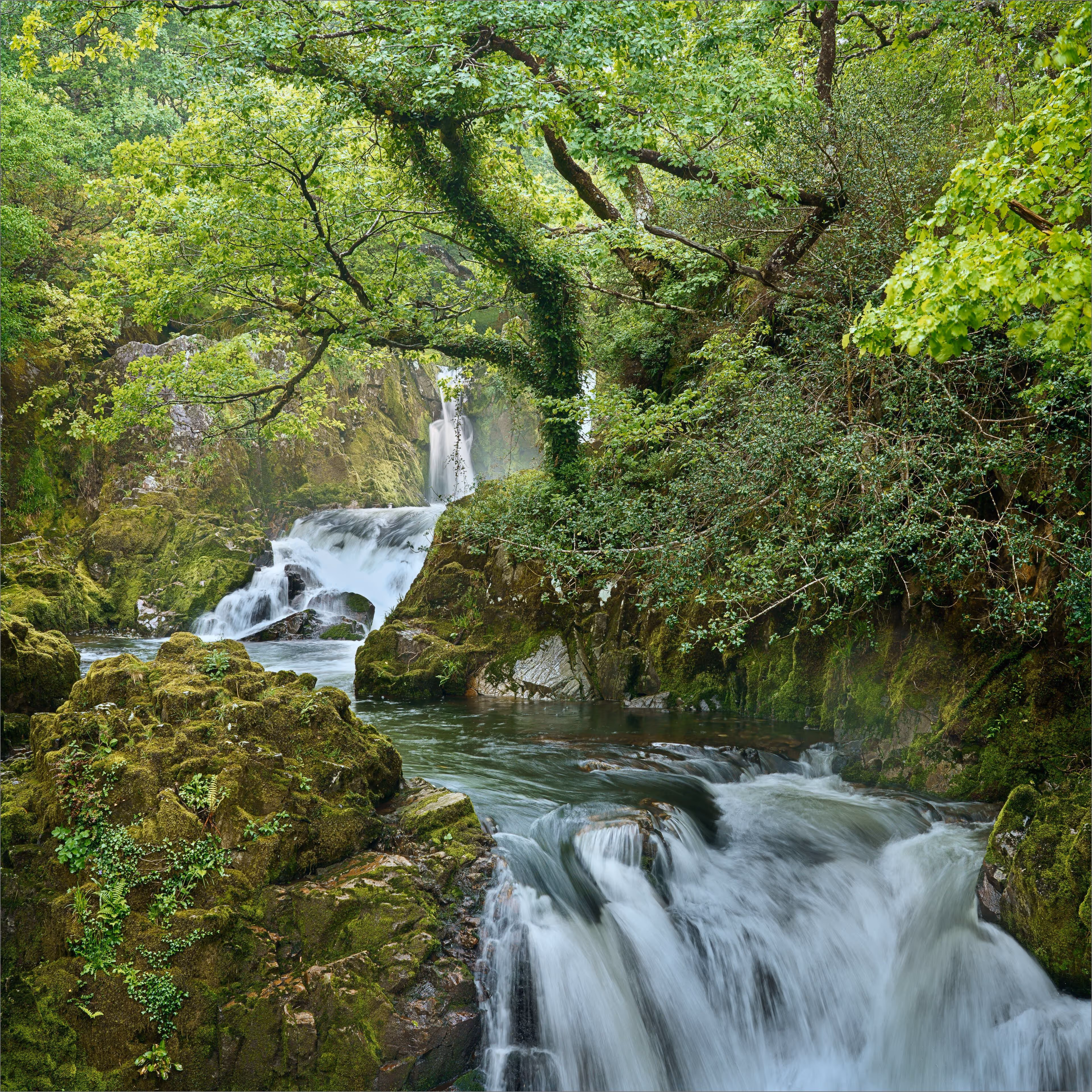 Snowdonia Cascade - Spring
