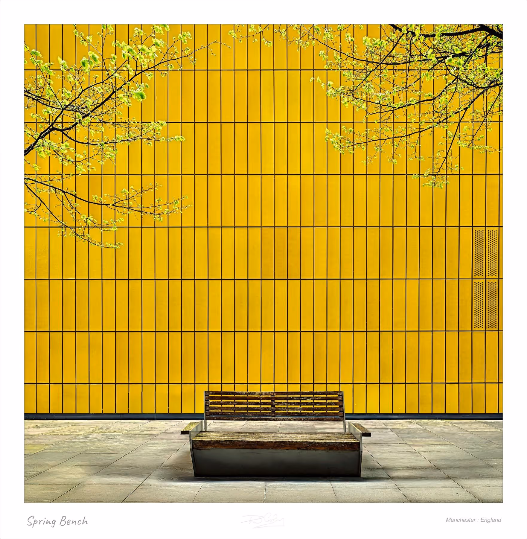 Spring Bench
