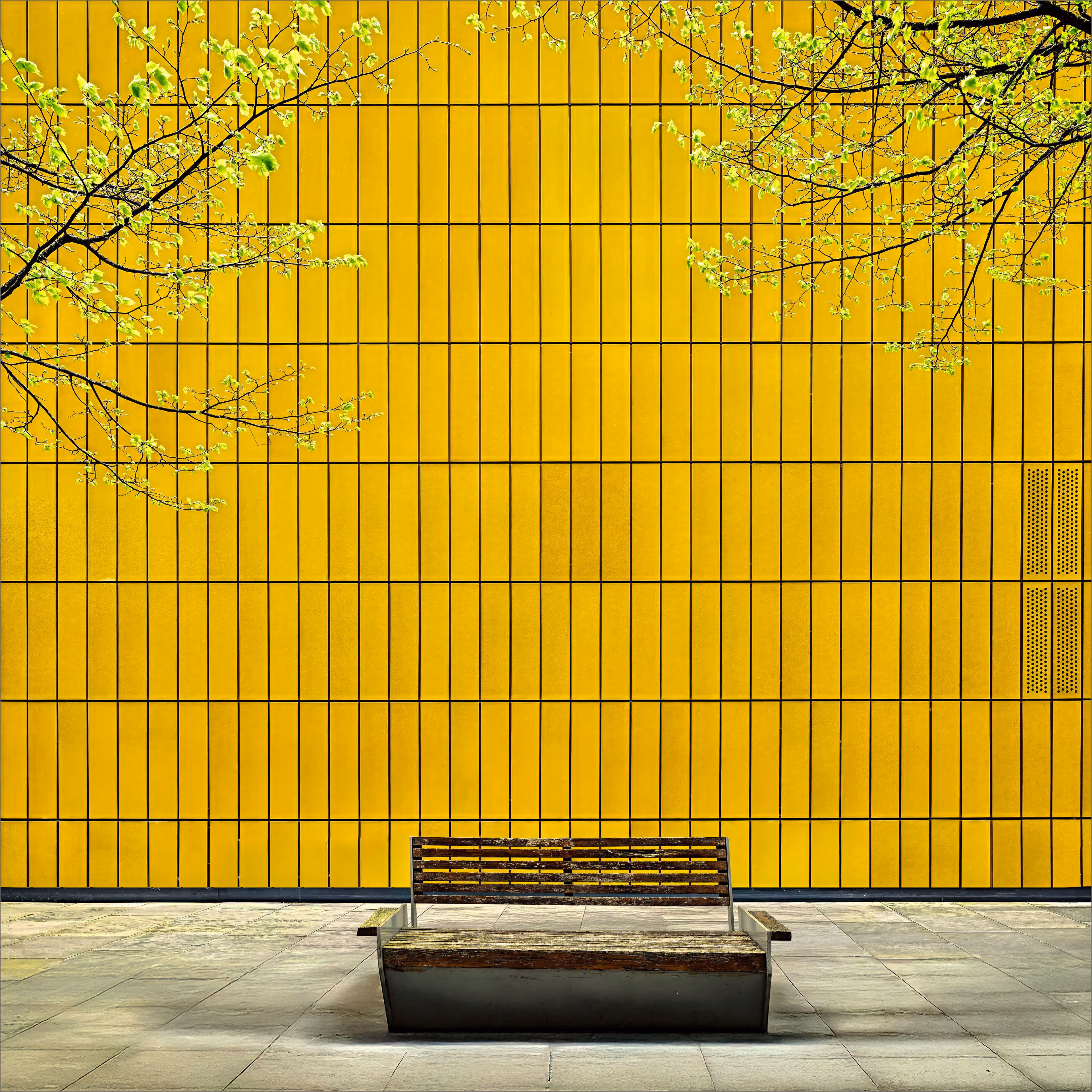 Spring Bench
