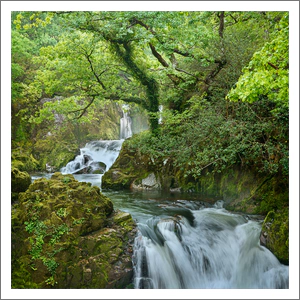 Snowdonia Cascade - Spring