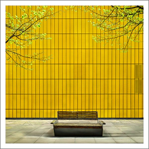 Spring Bench